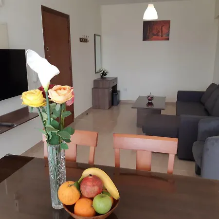 Vasilas #1 Apartman Lárnaka